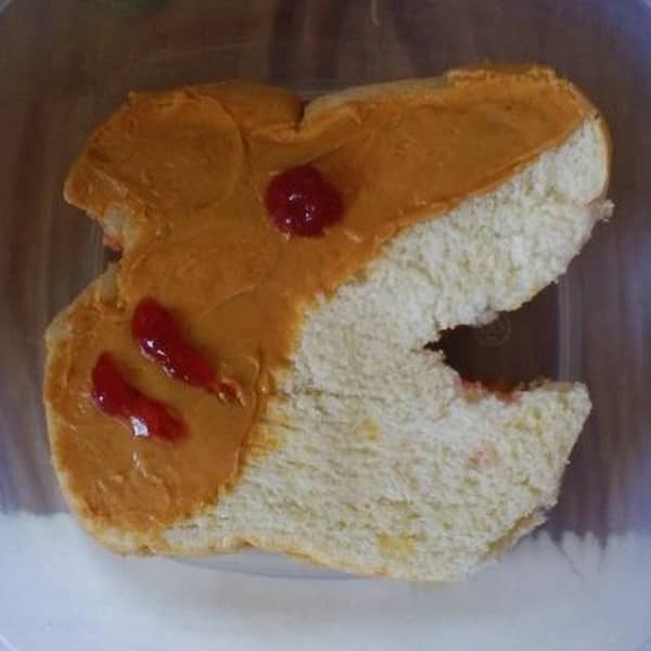 Sandwich shaped like a shark.