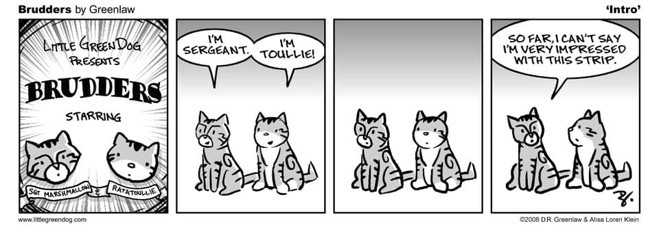 Brudders 001 Intro. A comic strip about cat siblings.